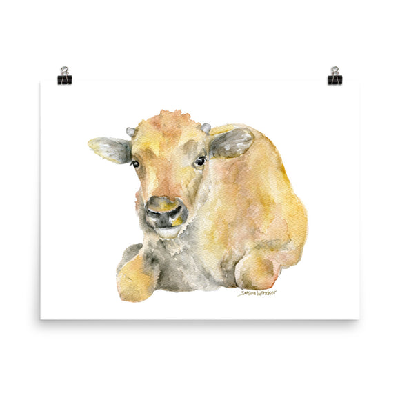 Buffalo Calf Watercolor
