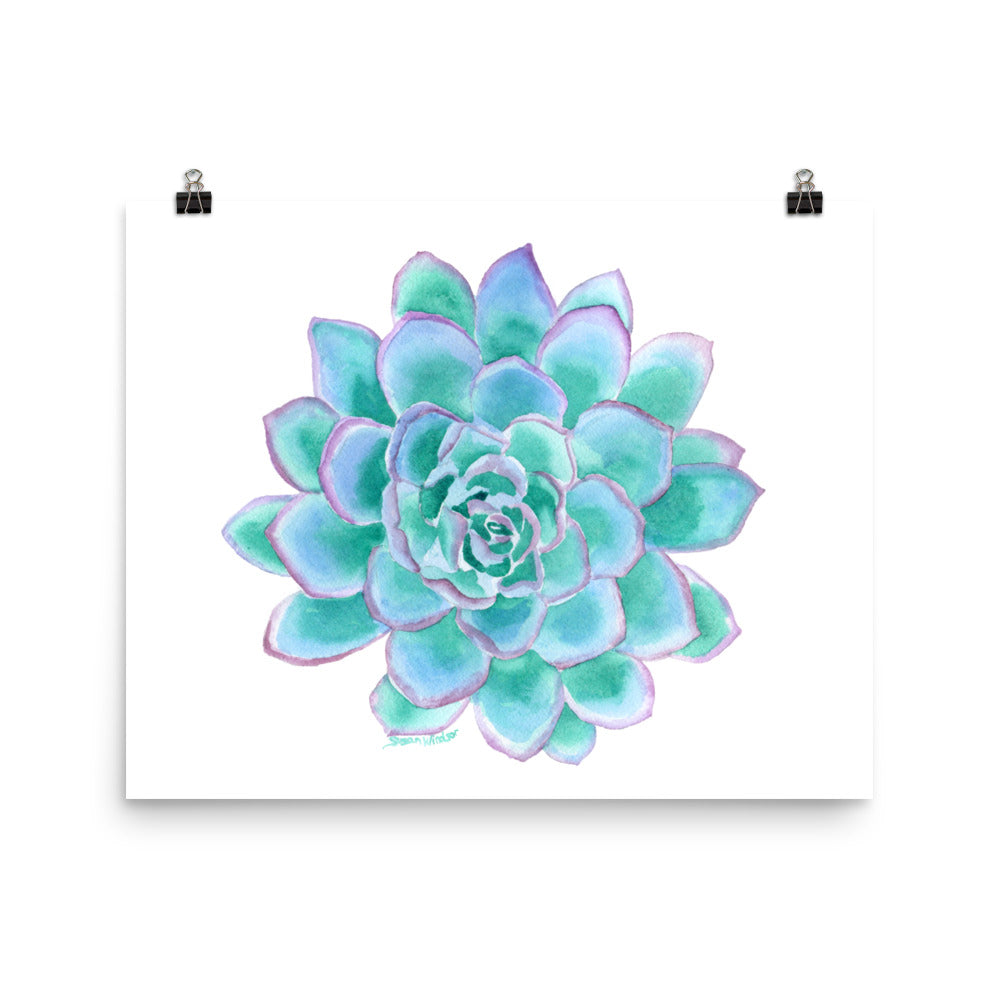 transparent succulent watercolor Teal Succulent Watercolor – Susan Windsor