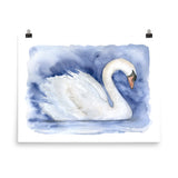 Swan Watercolor