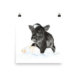 Calf Watercolor Baby Cow