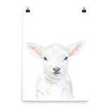 Baby Lamb Face Watercolor