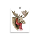 Moose in a Scarf Watercolor