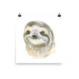 Sloth Face watercolor