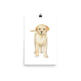 Yellow Labrador Puppy Dog Watercolor