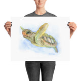 Sea Turtle Watercolor