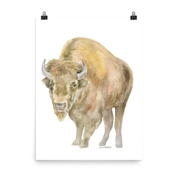 Bison Watercolor Print