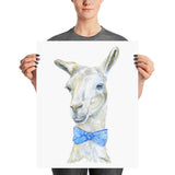 Llama with a Tie Watercolor