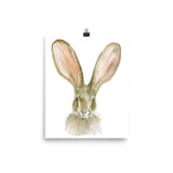 Jack Rabbit Watercolor
