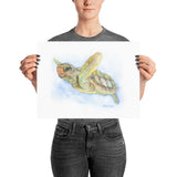 Sea Turtle Watercolor