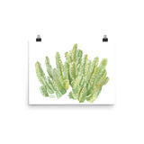 Cactus Moroccan Mound Watercolor