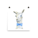 Llama with a Tie Watercolor