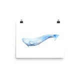 Beluga Whale Watercolor Print