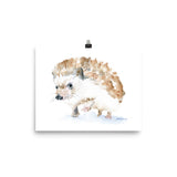 Hedgehog Watercolor 1