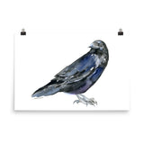 Raven Watercolor Print