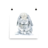 Mini Lop Rabbit Watercolor