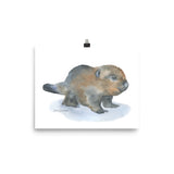 Baby Beaver Watercolor