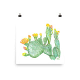 Prickly Pear Cactus Watercolor