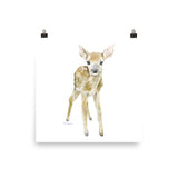 Deer Fawn Watercolor 2
