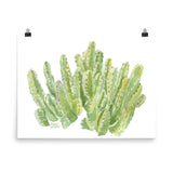 Cactus Moroccan Mound Watercolor