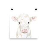 White Calf Watercolor Cow