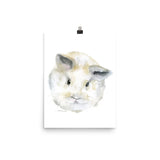 Fluffy Bunny Baby Watercolor