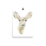 Doe Deer Watercolor