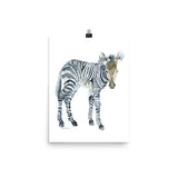 Baby Zebra Watercolor Print