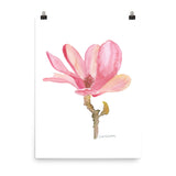 Pink Magnolia Flower Watercolor