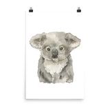Koala Baby Watercolor
