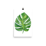 Monstera Leaf Watercolor