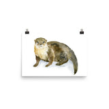 River Otter Watercolor