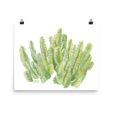 Cactus Moroccan Mound Watercolor