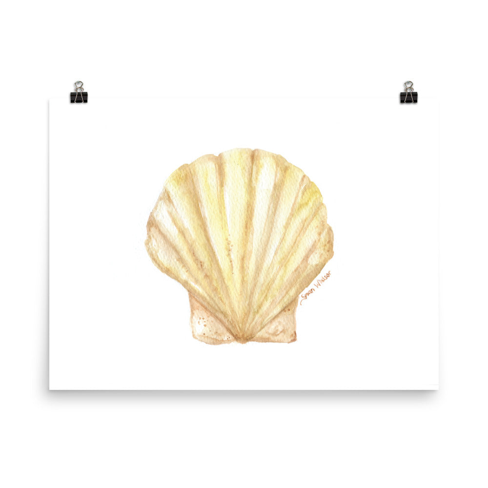 Watercolored Clam Shell Clam Seashell Watercolor Print – Susan Windsor
