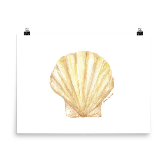 Clam Seashell Watercolor Print