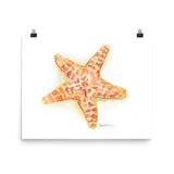 Sea Star Starfish Watercolor