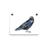 Raven Watercolor Print