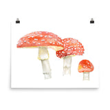 Toadstools Watercolor