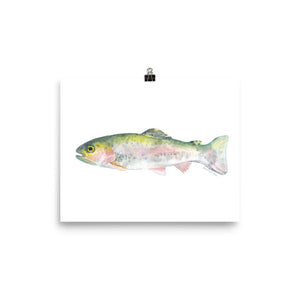 Rainbow Trout Watercolor