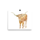 Texas Longhorn Watercolor Print