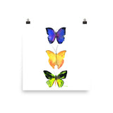 Three Butterflies Watercolor