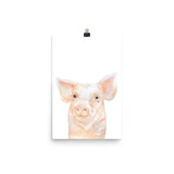 Pink Pig Watercolor