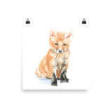 Baby Fox Watercolor