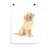 Golden Retriever Puppy Watercolor