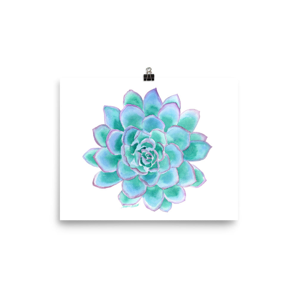succulent watercolor art Teal Succulent Watercolor – Susan Windsor