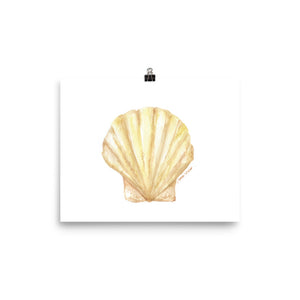 Clam Seashell Watercolor Print