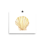 Clam Seashell Watercolor Print