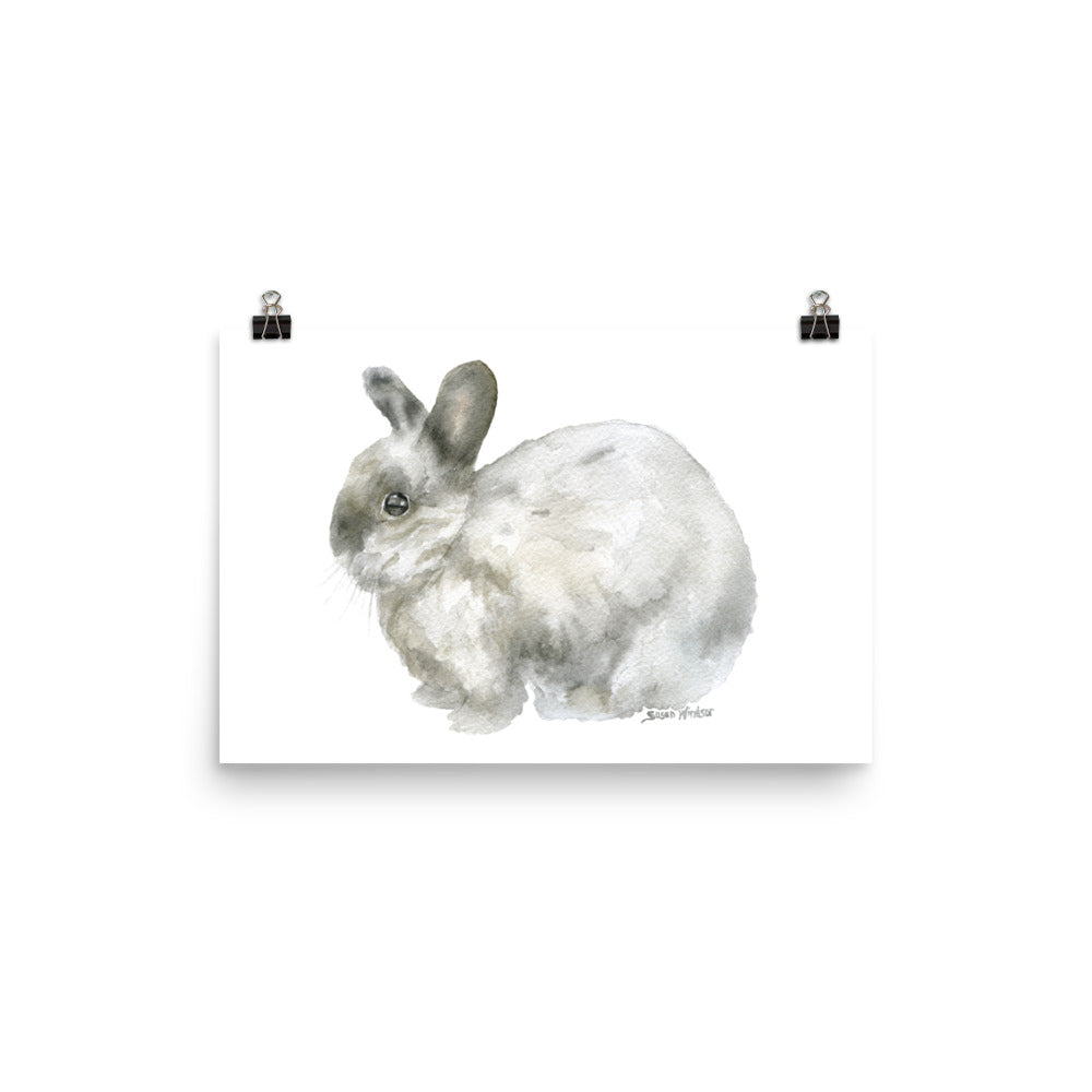 Gray Bunny Rabbit Watercolor 2 – Susan Windsor