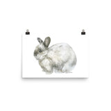Gray Bunny Rabbit Watercolor 2