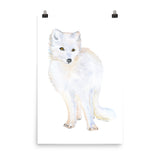 Arctic Fox Watercolor