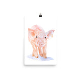 Pig Watercolor